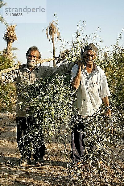 Alte Männer Dorf ländlich iran persien Menschen Bauern Arbeit