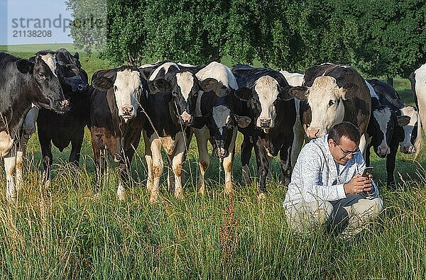 Lustiges Bild mit einem Mann  der in sein Smartphone schaut  und einem Haufen Holsteiner Kühe  die hinter ihm versammelt sind und ihm über die Schultern schauen  in Deutschland