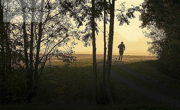 SIlhouette eines Mannes  der auf einer Allee entlang des Waldes in einem nebligen Morgen bei Sonnenaufgang läuft