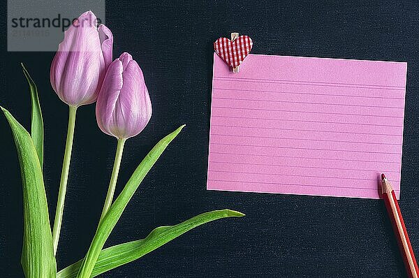 Grußkarte Idee mit rosa Tulpen ein rotes Notebook Blatt mit Streifen  ein hölzerner Bleistift und eine hölzerne Klammer mit einem Herz auf sie  auf einem schwarzen Hintergrund