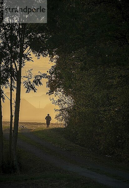 Silhouette eines Joggers Mann läuft auf einer Allee entlang der herbstlichen Wald bei Sonnenaufgang auf einem nebligen Morgen Tag des Oktobers