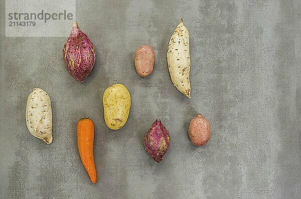 Große Konzept der gesunden Ernährung  verschiedene Gemüse  Kartoffeln  Süßkartoffeln  Karotten  auf grauem Hintergrund  poliertem Beton