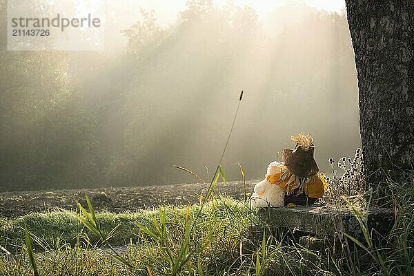 Freundschaft Thema Bild mit einem Teddybär und eine kleine Vogelscheuche umarmt  auf einer Holzbank unter einem Baum genießen die Morgennebel und Sonnenstrahlen über einen Wald