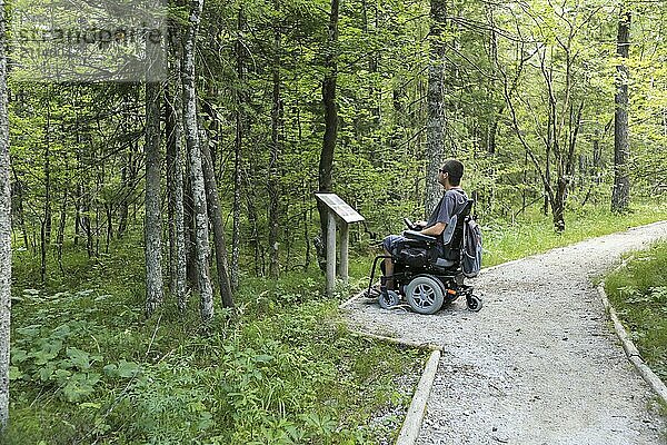 Glücklicher Mann im Rollstuhl in der Natur. Erkundung der Waldwildnis auf einem zugänglichen Feldweg