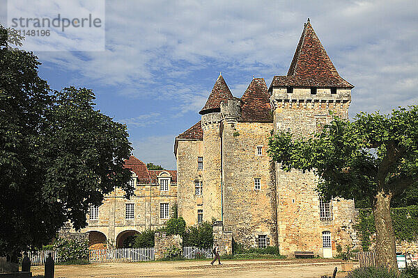 France  Nouvelle Aquitaine  Dordogne department (24)  Saint Jean de Cole  la Marthonie castle