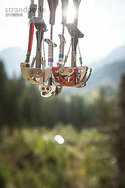 Rack of cams used in rock climbing