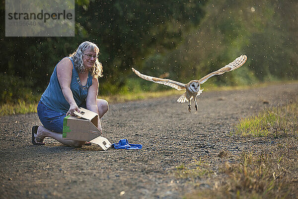 Woman releasing barn owl (Tyto alba) from cage