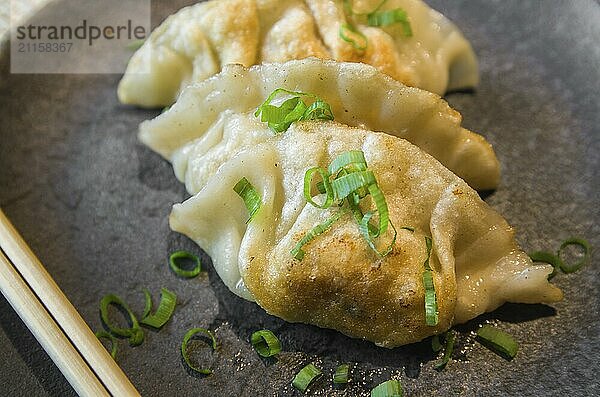 Beautiful gyoza or dumplings snack with soy sauce  selective focus  copy space