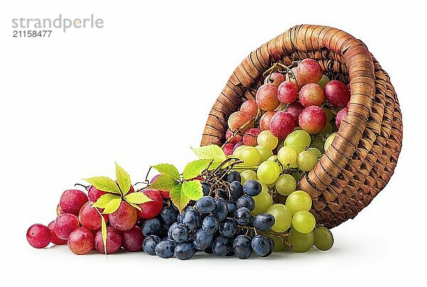 Basket and scattered grapes isolated on a white background