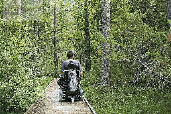 Happy man on wheelchair in nature. Exploring forest wilderness on an accessible dirt path