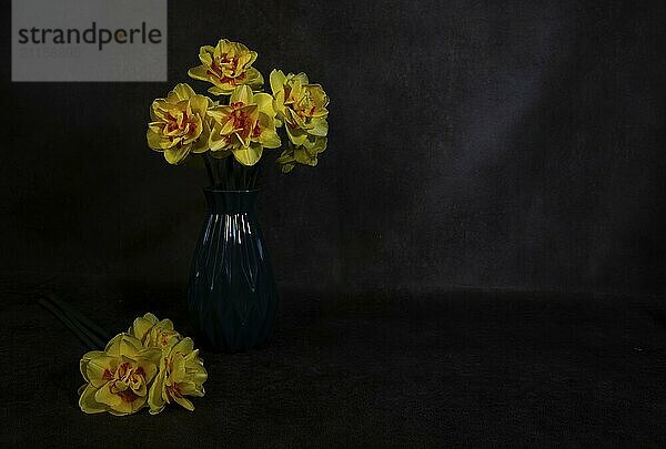 A still life with a blue vase with yellow daffodils with an orange heart on a dark background