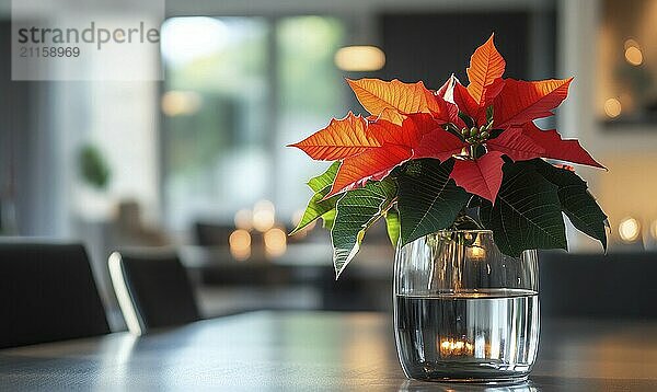 Eine Vase mit roten Weihnachtssternblüten steht auf einem Tisch in einem Raum. Die Vase ist mit Wasser gefüllt und die Blumen sind hell und leuchtend und schaffen eine fröhliche und festliche Atmosphäre. Der Raum ist gut beleuchtet  KI erzeugt  KI generiert