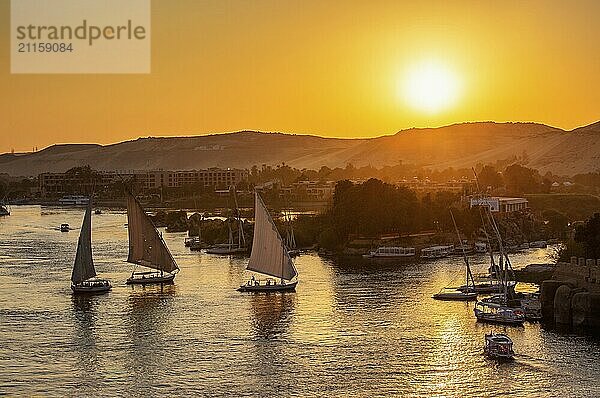 Beautiful view on felucca boats on Nile river in Aswan at sunset  Egypt  Africa