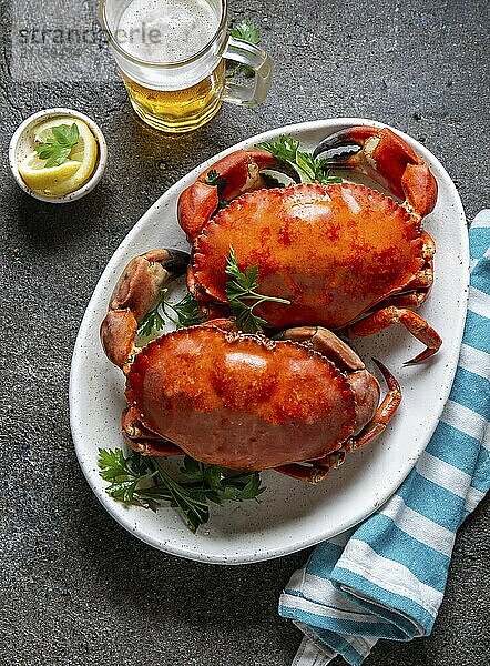 Food  Food  Whole cooked crabs on white plate with lemon and beer. Gray concrete background. Top view