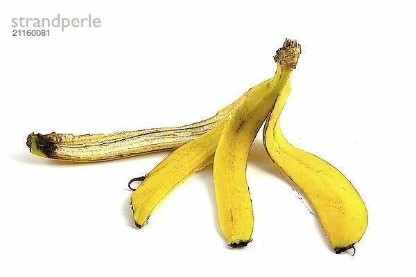 Banana peel isolated on white background. The concept of separate waste collection and organic waste for composting