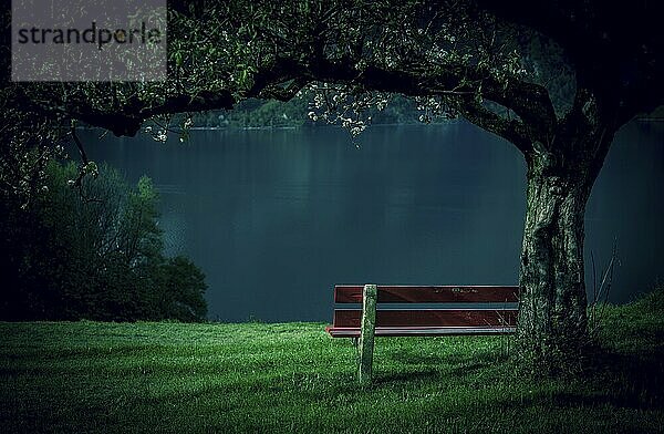 Red wooden bench in a blooming orchard with a beautiful view of the lake Walensee  in the Swiss Alps. Picture taken near the village Unterterzen  Switzerland  Europe