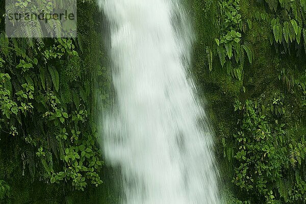 La Paz Waterfall  North of Alajuela  Costa Rica  Central America