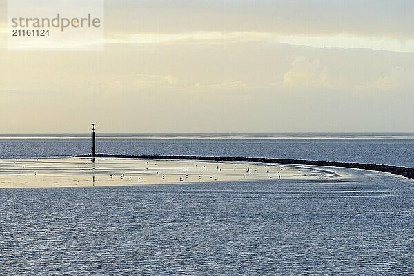 Evening mood at the Wadden Sea  stone groyne with sea mark  North Sea  Norddeich  Lower Saxony  Germany  Europe