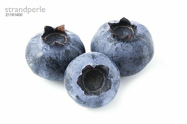 Ripe blueberries isolated on white background close up