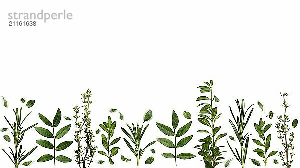 Herbal background of thyme rosemary and other leaves on white background flat lay