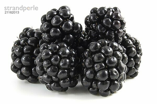 Blackberries close up isolated on white background