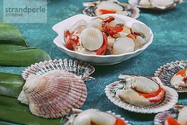 Food  Raw fresh seafood shellfish scallops on blue background