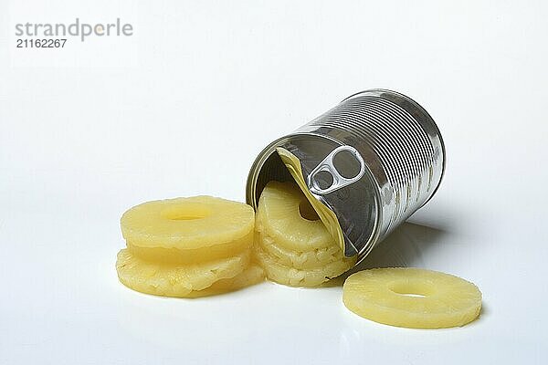 Pineapple rings in tins  Ananas sativus