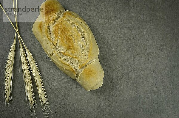 Beautiful Sourdough bread on gray background with dried wheat flower