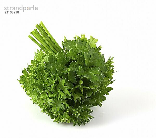 A bunch of parsley  fresh greens lie isolated on a white background