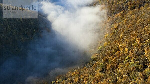 The sun shines brightly above the dense autumn fog in the valley