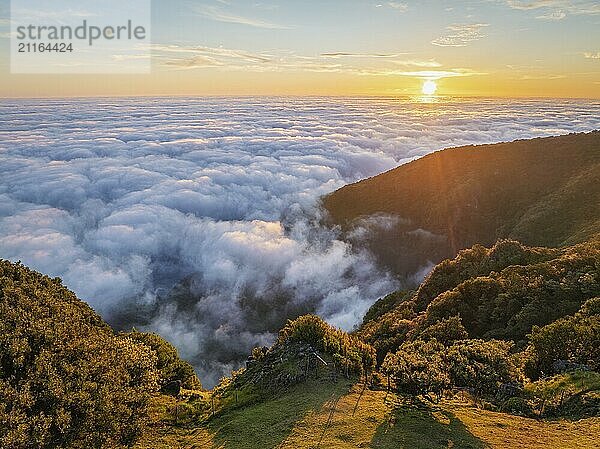 Luftaufnahme des Sonnenaufgangs über Wolken und grünen Hügeln am Berg Fanal  Insel Madeira  Portugal  Europa