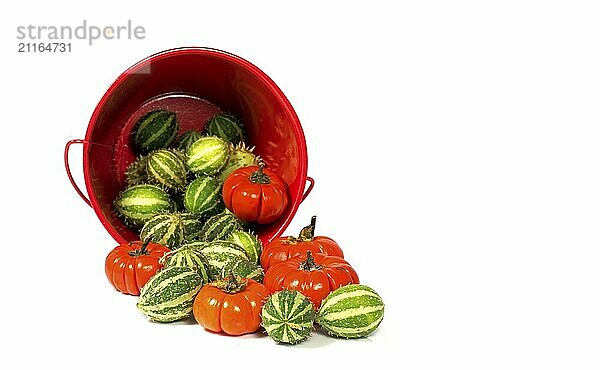 Decoration vegetables in red and green isolated on white