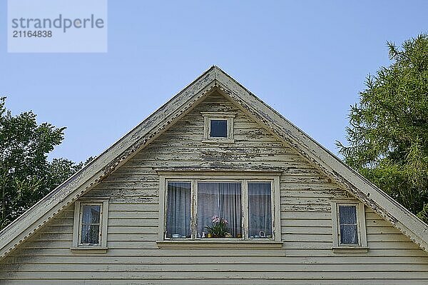 Rustic wooden house with several windows  curtains and flowers against a clear sky  Sandnes  Fylke Rogaland  Norway  Europe