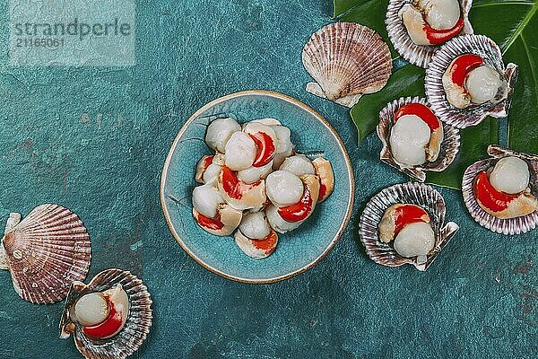 Food  Raw fresh seafood shellfish scallops on blue background