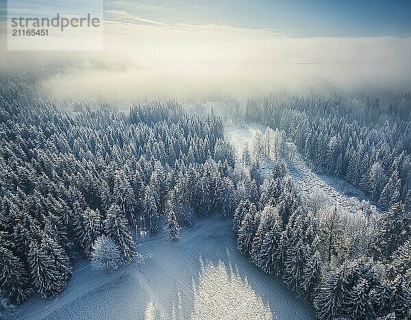 Epic winter landscape of a forest with clearing in the fog in winter  symbol image drone shot  AI-generated image  AI generated