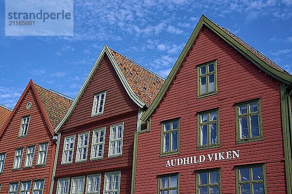 Traditional red wooden houses under a blue sky with pitched roofs and multiple windows in a sunny old town  Bryggen  Bergen  Vestland  Norway  Europe