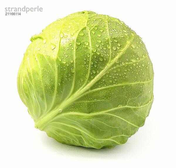 Fresh white cabbage isolated on white background