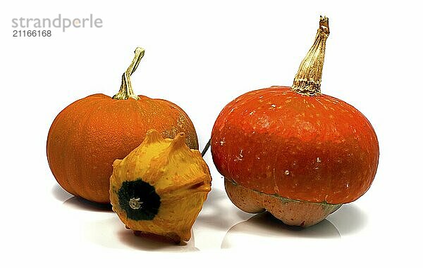 Decoration vegetables inorange isolated on white