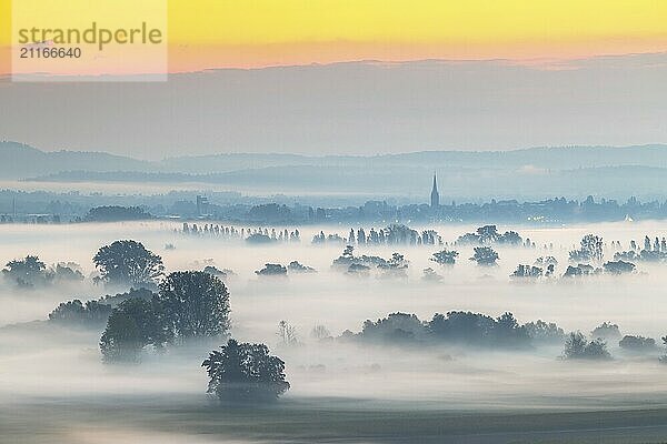 Eine stille  nebelige Landschaft bei Sonnenaufgang  friedliche Stimmung  Galgenberg  Aachried  Radolfzell  Bodensee  Baden-Württemberg  Deutschland  Europa