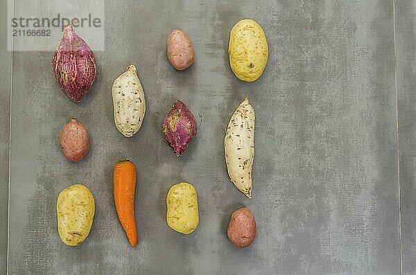 Great concept of healthy food  various vegetables  potatoes  sweet potatoes  carrots  on gray background  polished concrete