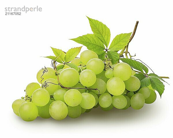 Bunch of green grape isolated on a white background