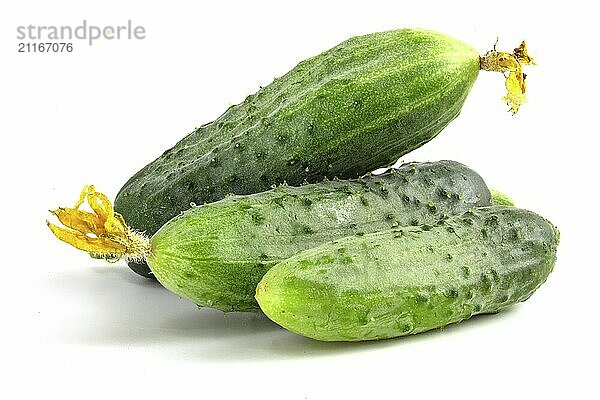 Fresh prickly cucumbers isolated on white background