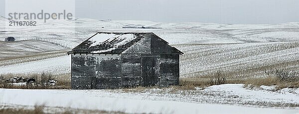 Abandoned Buildings Saskatchewan Prairie Rurual Scene Panorama Beauty