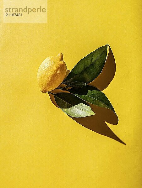 Food  Food  Fresh lemon with lemon tree leaves on yellow background