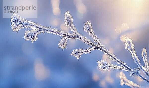 Ein mit Frost und Schnee bedeckter Zweig. Der Zweig ist mit Eis und Schnee bedeckt  und die Sonne scheint auf ihn. Das Bild hat eine heitere und friedliche Stimmung AI erzeugt  KI generiert