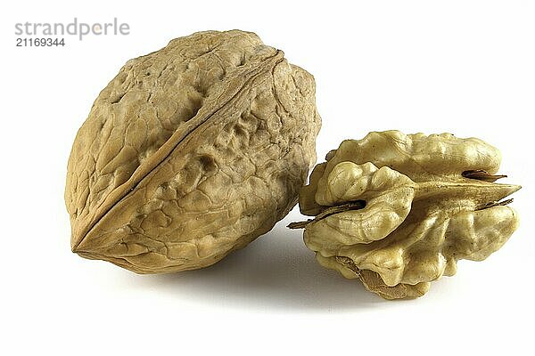 Fresh  nutritious  delicious walnut. Nuts isolated on white background