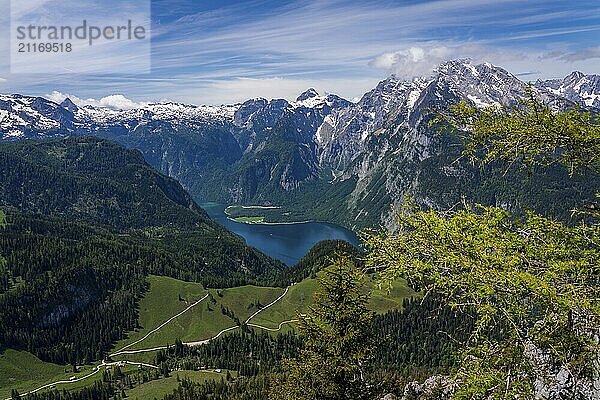 View of the Königssee in Bavaria  Germany  Europe