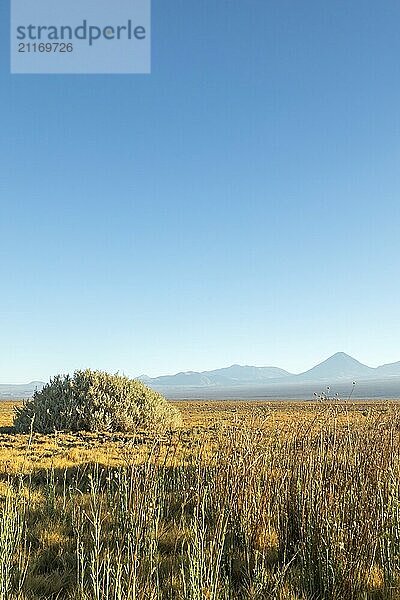 Atacama Wüste  Chile  Anden  Südamerika. Schöne Aussicht und Landschaft  Südamerika