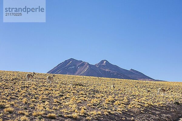 Atacama Wüste  Chile  Anden  Südamerika. Schöne Aussicht und Landschaft  Südamerika