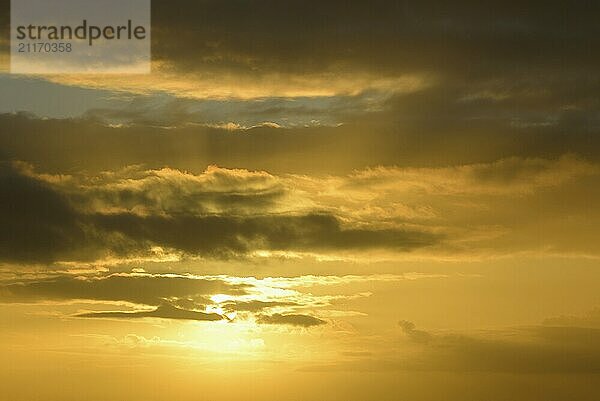 Sunset with low clouds  North Sea  Norddeich  Lower Saxony  Germany  Europe